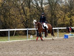 DSC02544-051_web